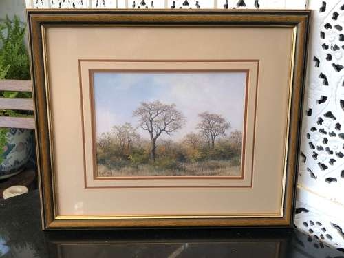 WOW !!! CYRIL PENNY LISTED SA ARTIST - FRAMED LANDSCAPE WATERCOLOR - READY TO HANG
