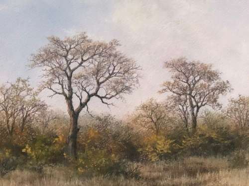 WOW !!! CYRIL PENNY LISTED SA ARTIST - FRAMED LANDSCAPE WATERCOLOR - READY TO HANG