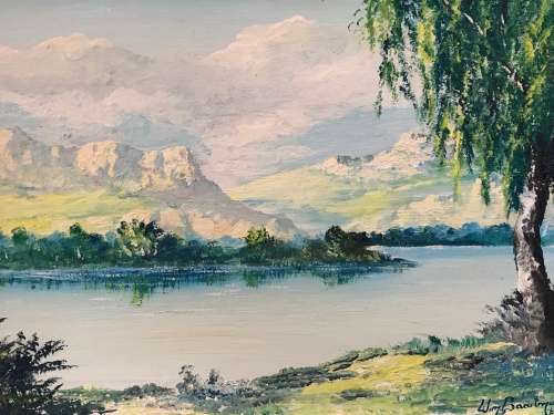 WOW !!! WIM BAARTMAN - NAMIBIAN ARTIST - FRAMED OIL ON BOARD LANDSCAPE