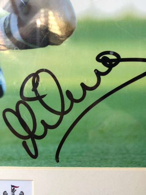 PREMIER LEAGUE MEMORABILIA - SIGNED & AUTHENTICATED PHOTO OF MICHAEL OWEN WHILE STILL AT NUFC