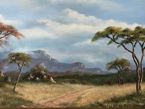 INVESTMENT ART !!! PIET HOLTHUYSEN - STUNNING LARGE OIL ON BOARD LANDSCAPE - NAT PARK NYANGA 1984