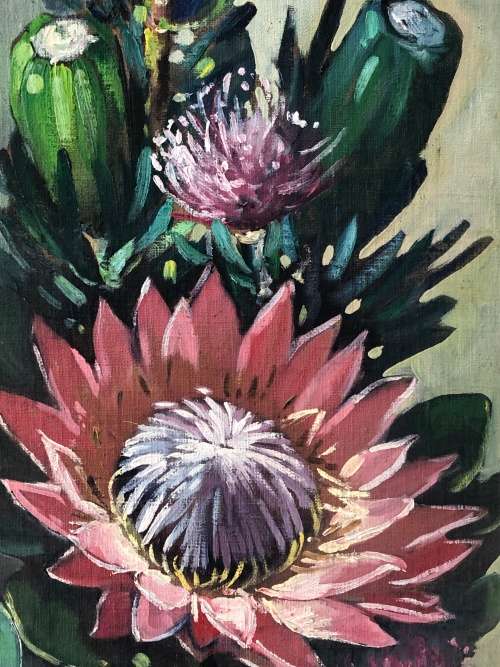 LOVELY OIL ON CANVAS STUCK TO BOARD OF PROTEAS - SIGNED BY J. ROSS ROBERTS