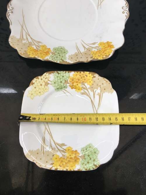 Vintage  Royal Standard Fine China. "Valencia"  Porcelain Cake Plate & Side Plate