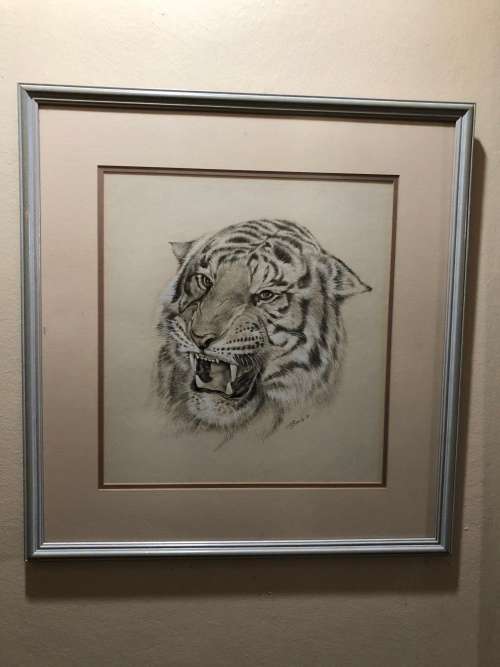 WOW !!! ABSOLUTELY STUNNING ORIGINAL MIXED MEDIA OF A TIGER BY FA BURNLEY DATED 1968