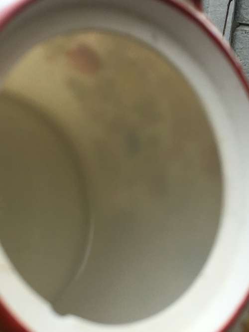 Nihon/ Nippon Japan Late Meiji to Taisho period 1921 Eggshell/Lithophane Tea Pot 1lt