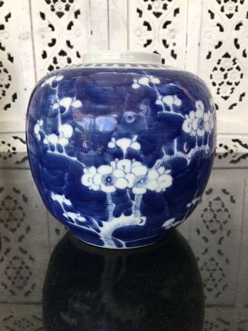 A Large Chinese Prunus Hand Painted Under Glaze Kangxi Double Blue Ring Mark Ginger Jar