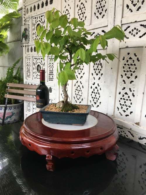 A  XX Large Rare Collectors Antique/Vintage Chinese Hand Carved Wood & Marble Display Stand