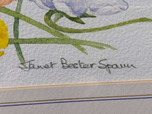 JANET BESTER SPAUN - CAPE TOWN ARTIST - FRAMED WATERCOLOR OF FLOWERS