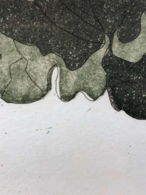 TESSA BEAVER (1932-2018) UK ARTIST - FRAMED LIMITED EDITION ETCHING 1/100 TITLED "CABBAGE"