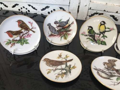Vintage Collection of 9 Coalport Bone China England 9 cm Bird Series Plates with stands