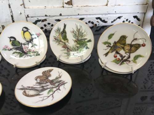 Vintage Collection of 9 Coalport Bone China England 9 cm Bird Series Plates with stands