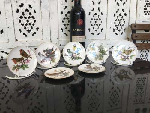 Vintage Collection of 9 Coalport Bone China England 9 cm Bird Series Plates with stands