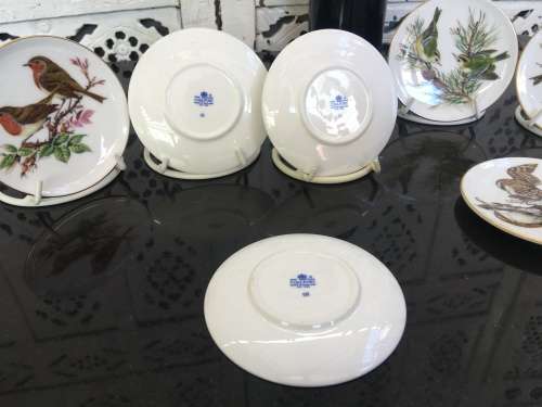 Vintage Collection of 9 Coalport Bone China England 9 cm Bird Series Plates with stands