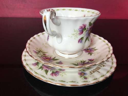 Royal Albert - 1970 - September - Flower of the Month Series "Michaelmas Daisy"Tea Trio Std Size