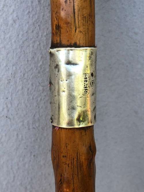 AMAZING ANTIQUE ROSEWOOD WALKING STICK WITH HALLMARKED SILVER COLLAR - J.HOWELL & CO 1910 - 1925