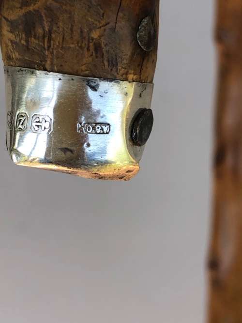 AMAZING ANTIQUE ROSEWOOD WALKING STICK WITH HALLMARKED SILVER COLLAR - J.HOWELL & CO 1910 - 1925