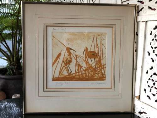 WOW !!! SA ARTIST JOAN SCHRAUWEN ARTIST PROOF WATERCOLOR / MIXED MEDIA TITLED "GLOSSY IBIS"