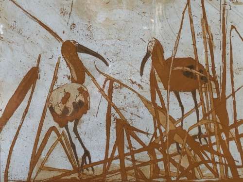 WOW !!! SA ARTIST JOAN SCHRAUWEN ARTIST PROOF WATERCOLOR / MIXED MEDIA TITLED "GLOSSY IBIS"