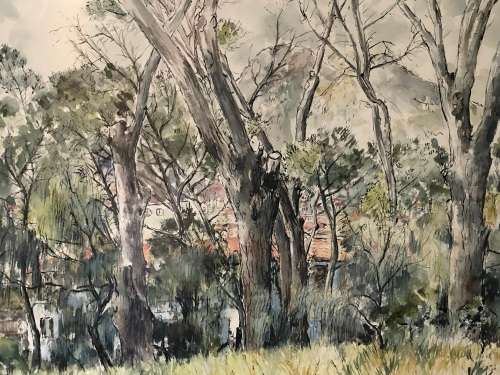 LARGE FRAMED WATERCOLOR PAINTING BY MARY VAUGHAN-WILLIAMS DATED 1975 - CLEARLY SIGNED