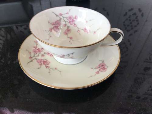 Rare Hutschenreuther Selb Bavaria Germany, Large Cherry Blossom & Gold Gilt Hand Painted Tea Duo