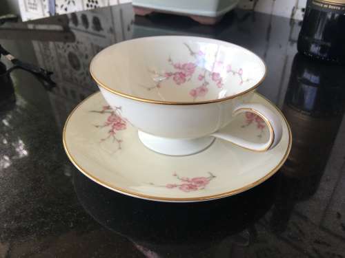 Rare Hutschenreuther Selb Bavaria Germany, Large Cherry Blossom & Gold Gilt Hand Painted Tea Duo