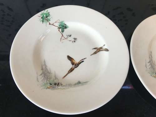 Vintage c1939-1955. Royal Doulton "THE COPPICE" D. 5803 set of 6 side plates 16.5 cm