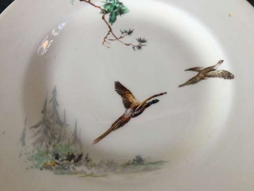 Vintage c1939-1955. Royal Doulton "THE COPPICE" D. 5803 set of 6 side plates 16.5 cm