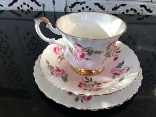 Rare Vintage Royal Albert Bone China England Pattern no 4365  Pastel Pink Rose Trio c1960s display