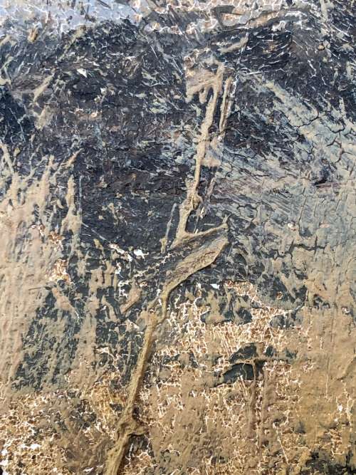 INVESTEMENT ART !!! NICO COETZEE (SA 20th CENTURY) GORGEOUS FRAMED OIL ON BOARD - GIRAFFE