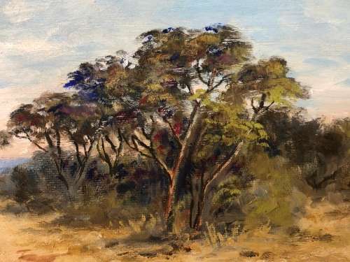 INVESTMENT ART !! OLIVE McINTYRE (SA 20th C) GORGEOUS FRAMED LANDSCAPE OIL ON BOARD - FRAMED