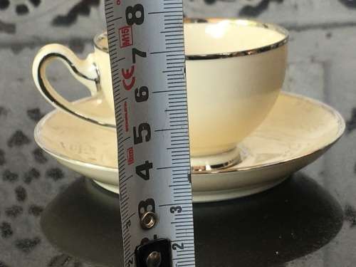 Rare KPM Kjebenhavns Porcellains Maleri A/5 Marked Biscuit & Silvert Gilt Duo Demmitasse