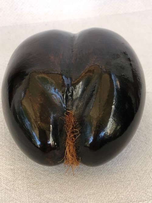 WHAT AN AMAZING FIND !!! SMALL COCO DE MER - THE FORBIDDEN FRUIT - EXOTIC ERROTIC AND COLLECTIBLE