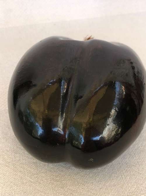 WHAT AN AMAZING FIND !!! SMALL COCO DE MER - THE FORBIDDEN FRUIT - EXOTIC ERROTIC AND COLLECTIBLE
