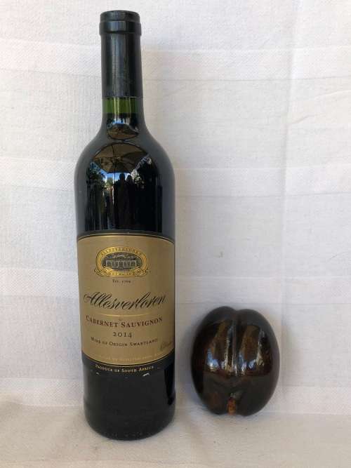 WHAT AN AMAZING FIND !!! SMALL COCO DE MER - THE FORBIDDEN FRUIT - EXOTIC ERROTIC AND COLLECTIBLE