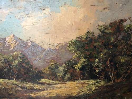 INVESTMENT ART !!! ANTON STRAUSS (SA 20th C) AMAZING FRAMED OIL ON BOARD PAINTING TITLED ON THE REAR