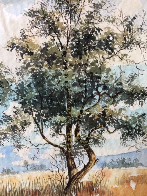 INVESTMENT ART !! MALCOLM "MALACHI" SMITH (1948 - 2012) FRAMED WATERCOLOR DATED 1972 TITLED N-TVL