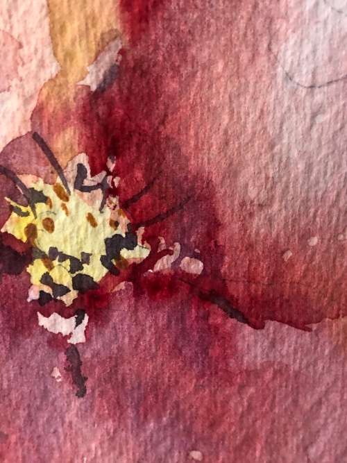 BEAUTIFUL WATERCOLOUR PAINTING STILL LIFE OF  FLOWERS BY BERYL JOHNSEN - NEATLY FRAMED BEHIND GLASS