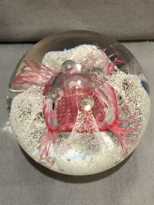 AMAZING PIECE !!!! HAND CRAFTED CAITHNESS PINK GLASS SCOTTISH PAPERWEIGHT - CLEARLY MARKED