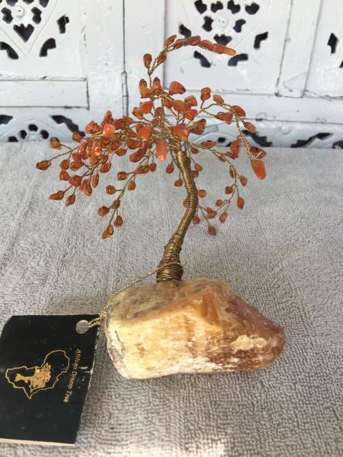 African Dream Trees Willow Tree, Base Aragonite Crystal, Trim Carnelia Crystals