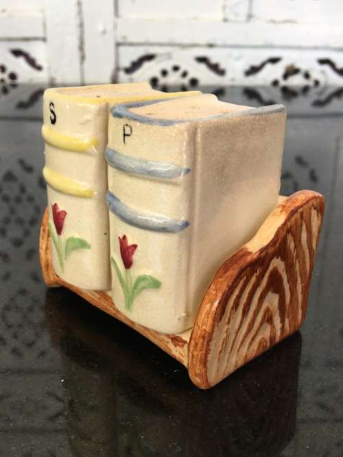 Unique Vintage Raised Relief Porcelain  Salt and Pepper Books and Bookcase