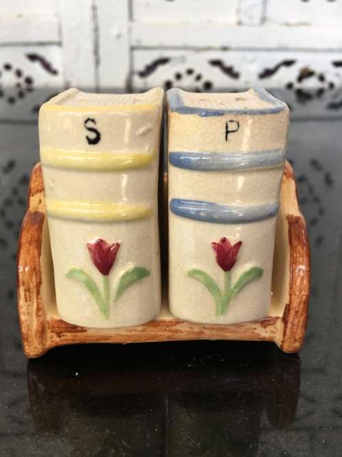 Unique Vintage Raised Relief Porcelain  Salt and Pepper Books and Bookcase