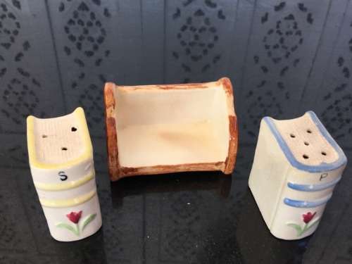Unique Vintage Raised Relief Porcelain  Salt and Pepper Books and Bookcase