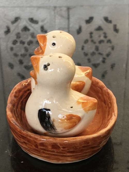 Unique Vintage Raised Relief Porcelain  Salt and Pepper Birds in Nest