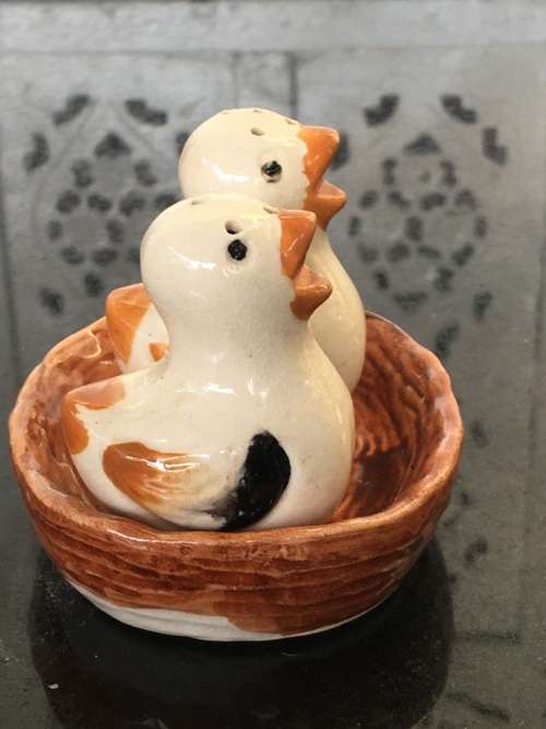 Unique Vintage Raised Relief Porcelain  Salt and Pepper Birds in Nest