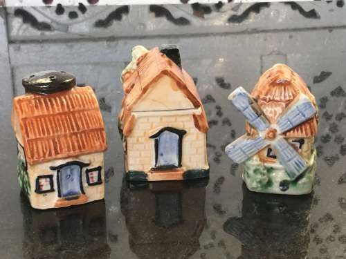 Unique Vintage Raised Relief Porcelain  Salt and Pepper Country  Housing