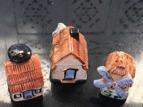 Unique Vintage Raised Relief Porcelain  Salt and Pepper Country  Housing