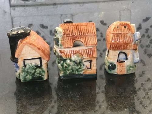 Unique Vintage Raised Relief Porcelain  Salt and Pepper Country  Housing