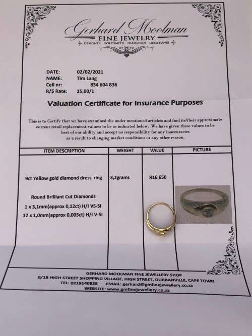 9ct Yellow Gold Diamond Dress Ring with Certificate - 13 Round Brilliant Cut Diamonds - 3.06g