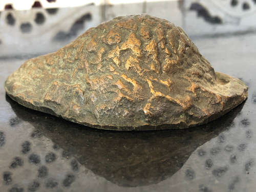 KEITH CALDER (SA 1959 - ) STUNNING EROMEL BRONZE OF AN ARMADILLO- CLEARLY SIGNED