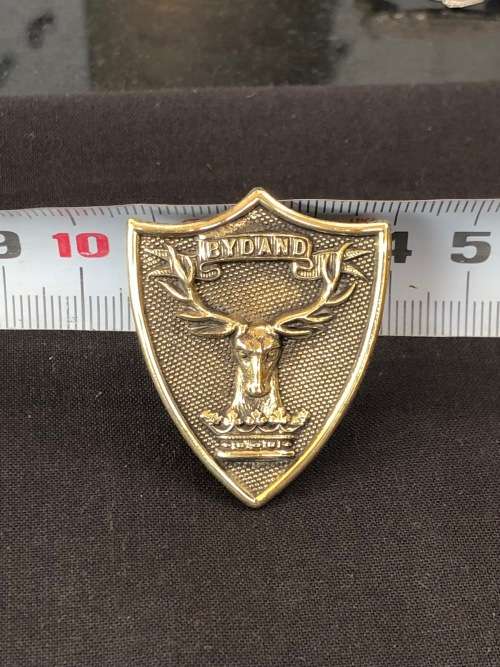 A GORDON HIGHLANDERS SPORRAN BADGE - ONLY ONE LUG